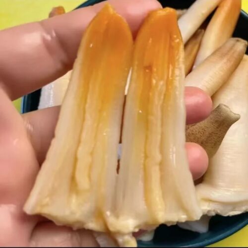 Sashimi-grade geoduck